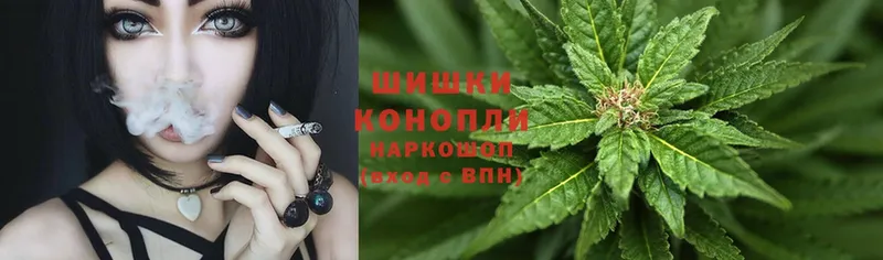 Марихуана OG Kush  Чехов 